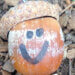 pumpkin with a face drawn on it
