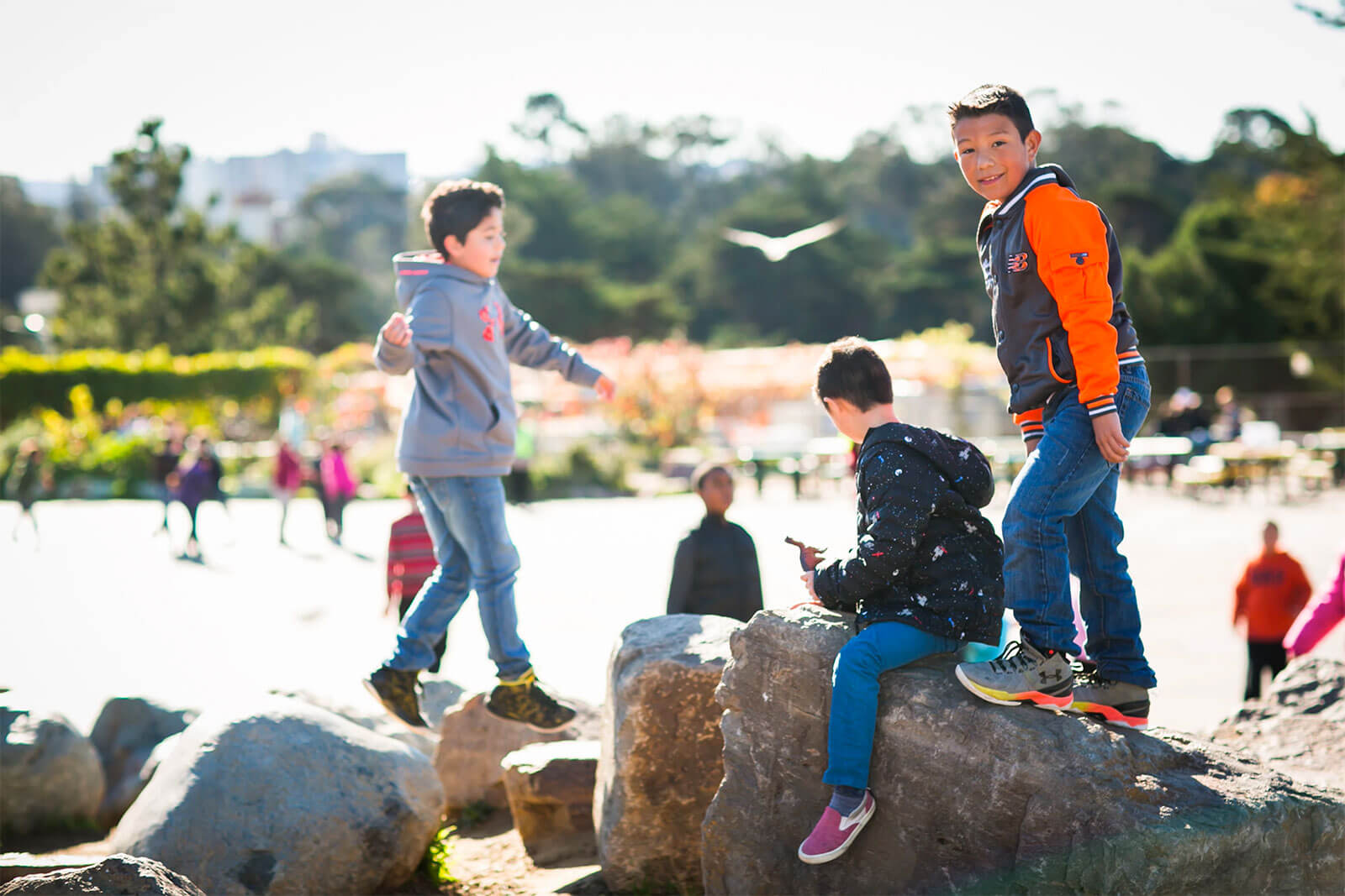 Group of boys climbing on rocks.