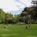 distant view of multiple groups of people siting at a park