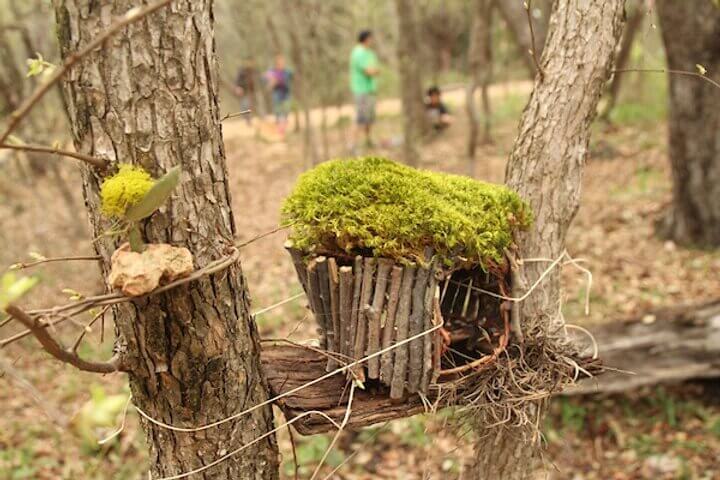 bird house