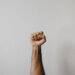 fist