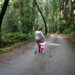 Mother and child walking in forest.