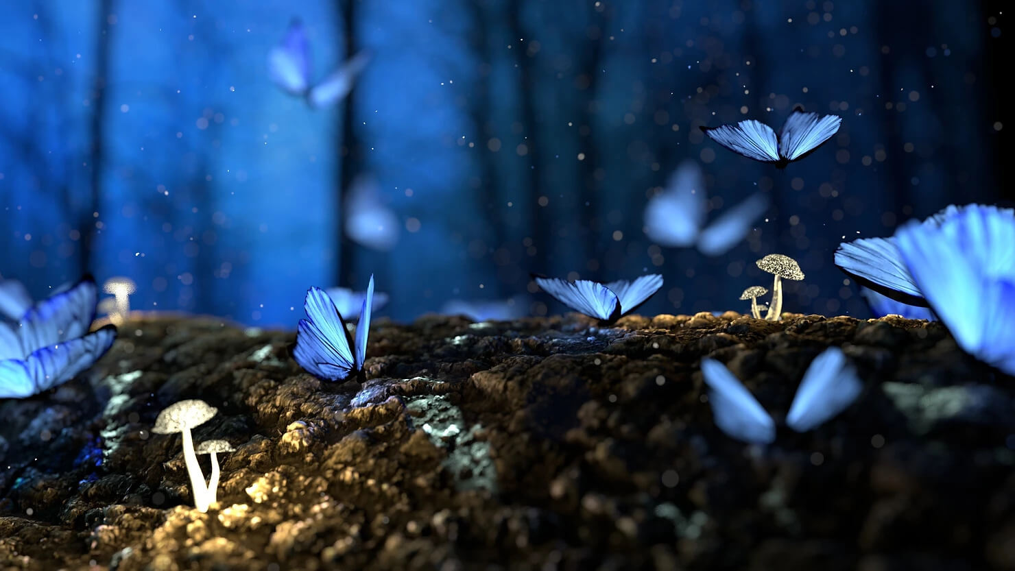 blue buterflies