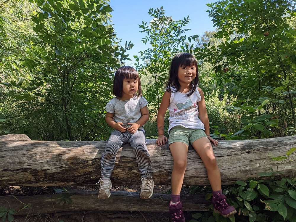 Tiffany's kids sitting on a tree trunk.