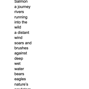 (untitled 28)