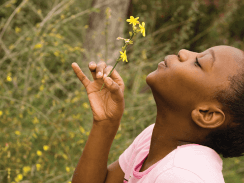 THE 7 BEST STORIES AND TRENDS OF 2015: For children, families, communities and nature, it was a very good year