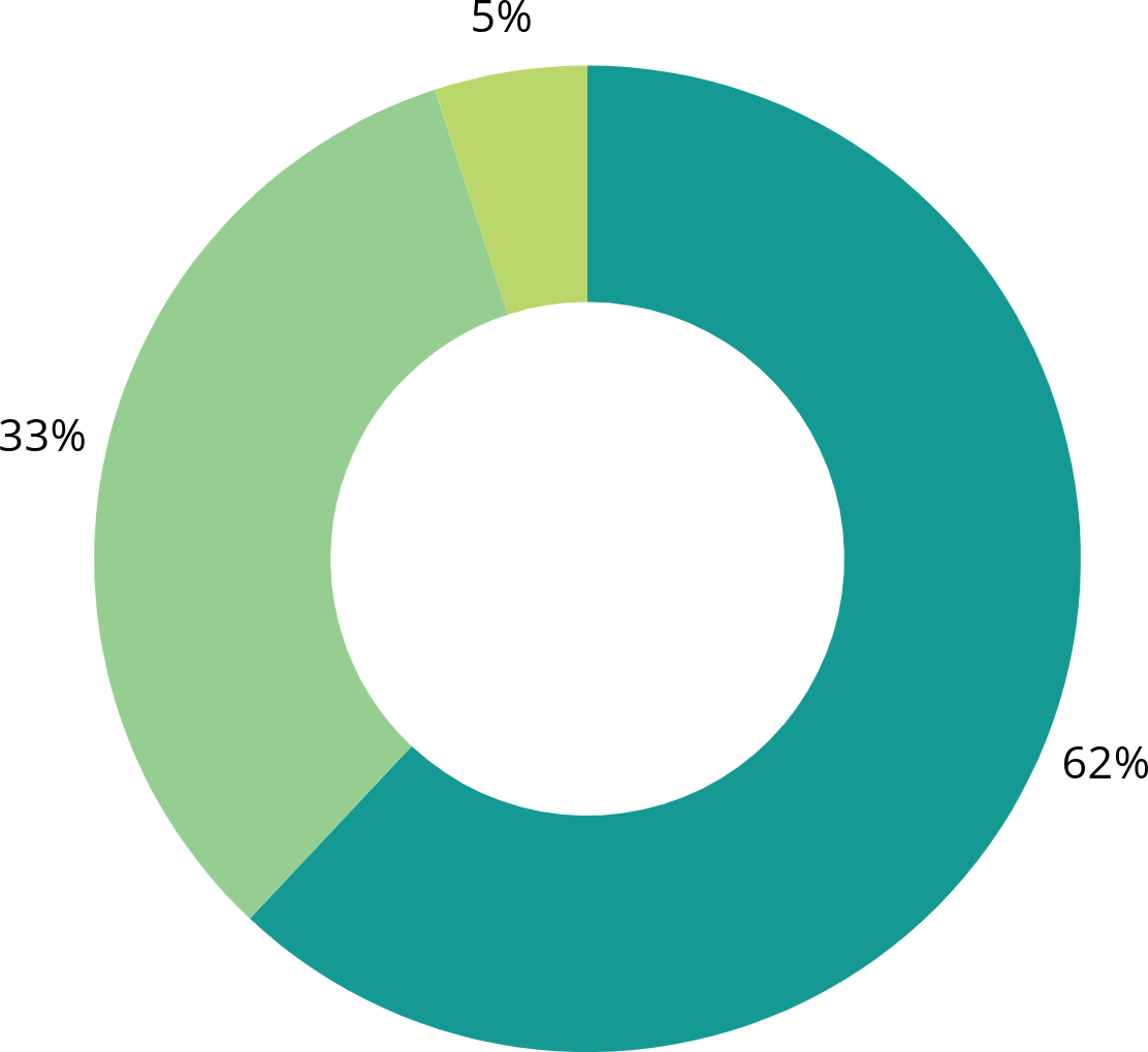 Graph: 62% Local Nature Connection Coordinator, 33% Youth and Community Engagement, 5% General Program Support